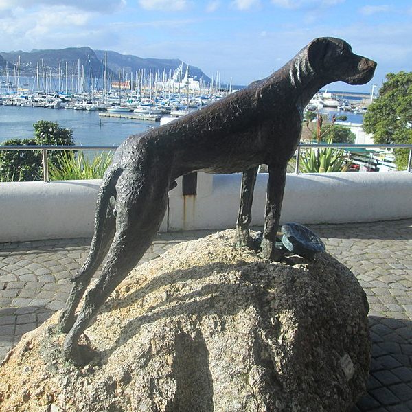 Simon's Town Historical Walks, Chris Taylor Tour guide, Cape Town, South Africa